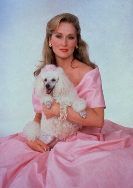 Meryl Streep photo