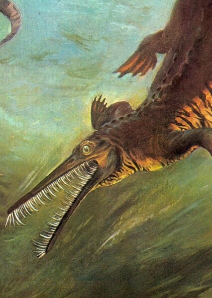 Mesosaurus