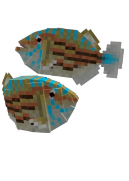 Mesturus