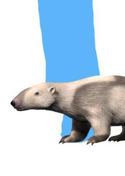 Metacheiromys