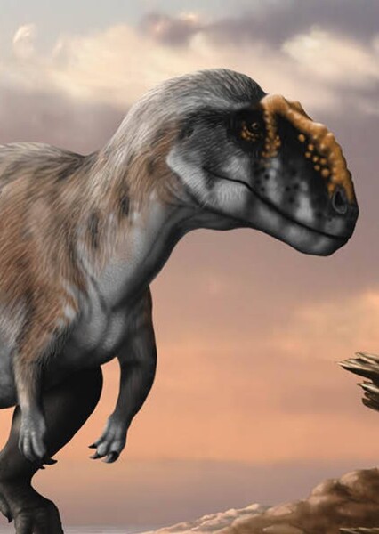 Metriacanthosaurus photo