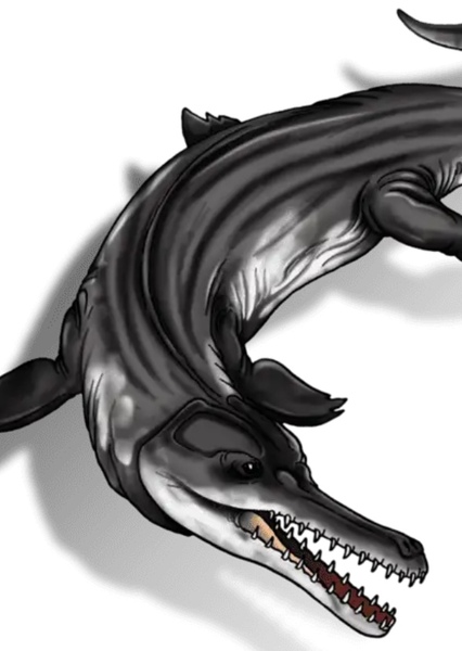 Metriorhynchus