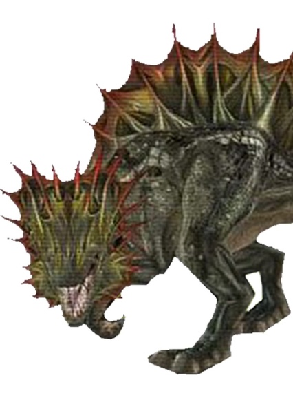 Miaplacidus