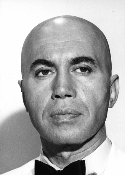 Michael Ansara photo