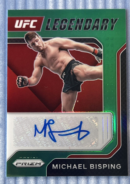 Michael Bisping photo