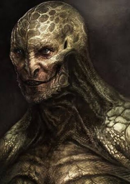 Lizard
