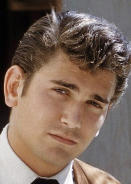 Michael Landon photo