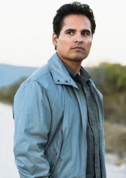 Michael Peña photo