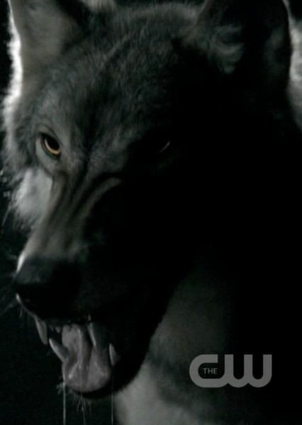 Michael Trevino photo
