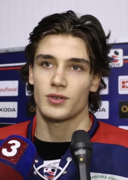Michal Mrázik photo