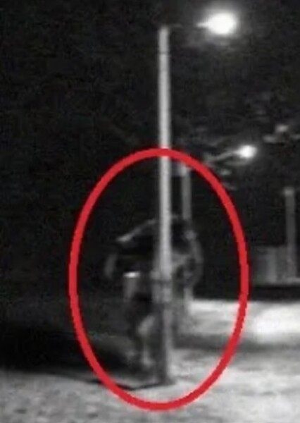 Michigan Dogman photo