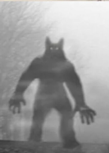 Michigan Dogman photo