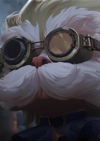 Heimerdinger