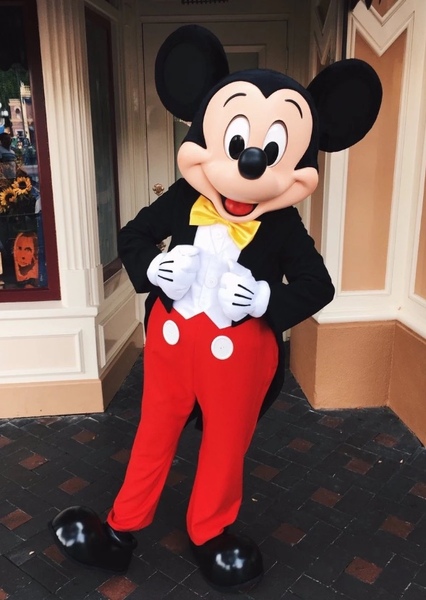 Mickey Mouse photo