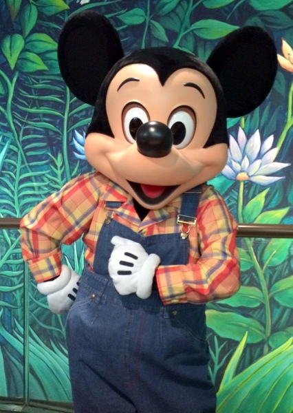 Mickey Mouse photo