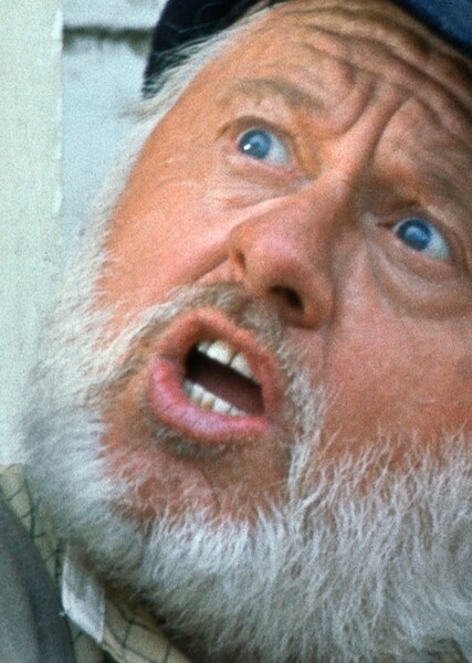 Mickey Rooney photo