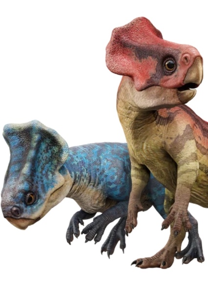Microceratus