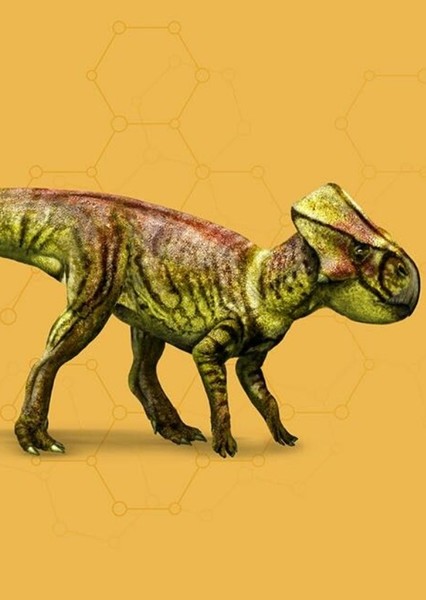 Microceratus photo