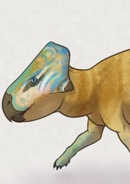 Microceratus
