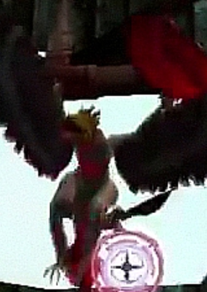 Microraptor photo