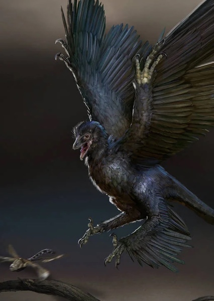 Microraptor photo