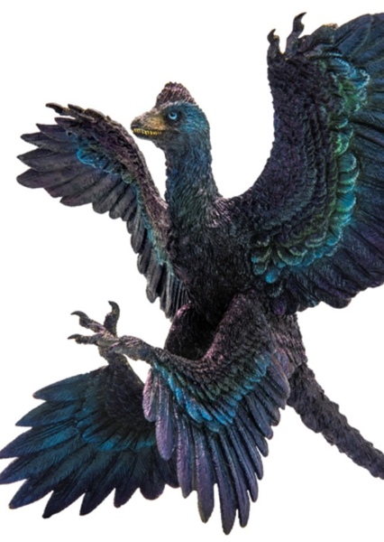 Microraptor photo