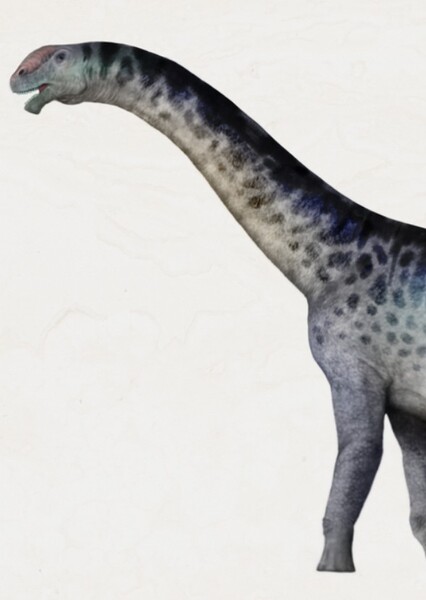 Mierasaurus photo