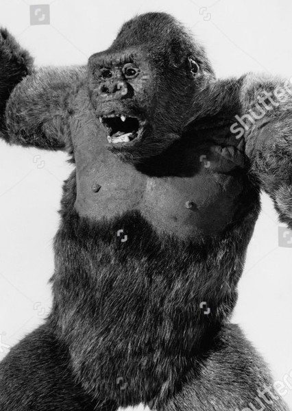 Mighty Joe Young (1949) photo