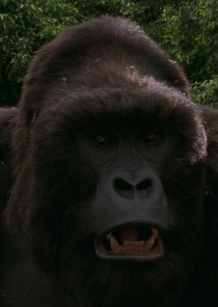 Mighty Joe Young (1998) photo