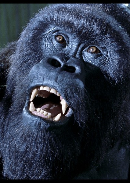 Mighty Joe Young (1998) photo