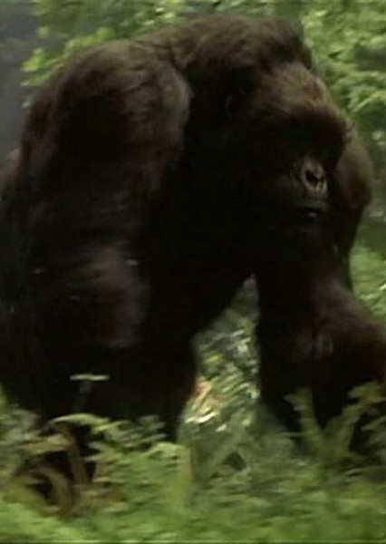 Mighty Joe Young (1998) photo