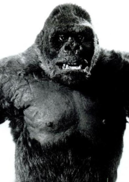 Mighty Joe Young photo