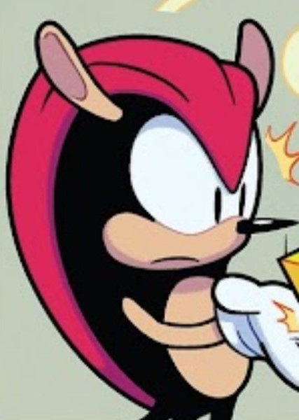 Mighty the Armadillo photo