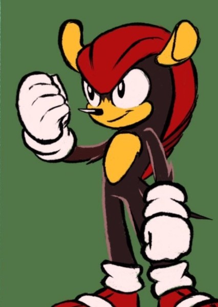 Mighty the Armadillo photo