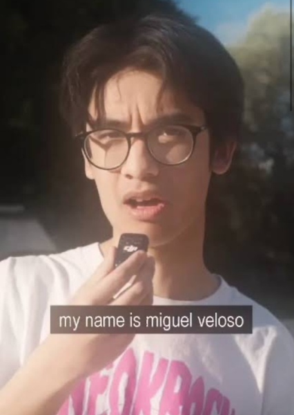 Miguel Veloso (MICO) photo