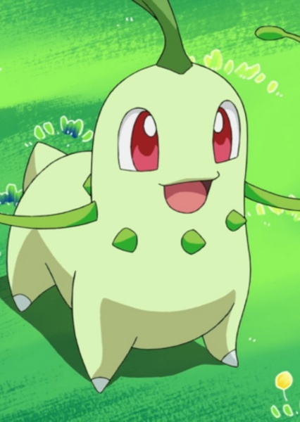 Chikorita