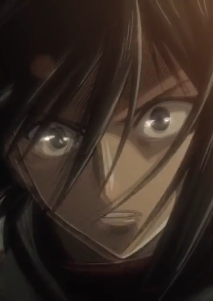 Mikasa Ackerman photo