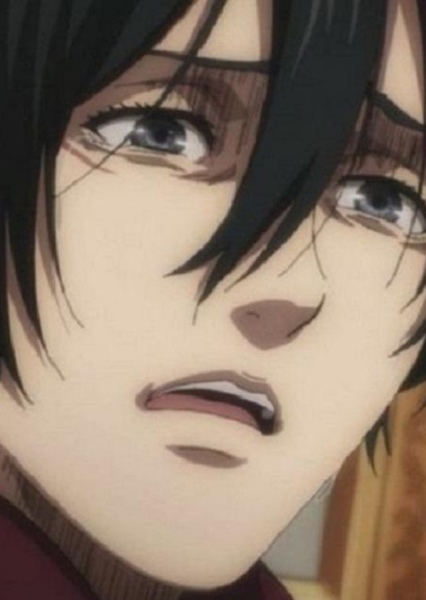 Mikasa Ackerman photo