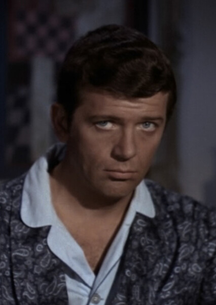 Mike Brady (The Brady Bunch) photo
