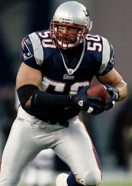 Mike Vrabel photo