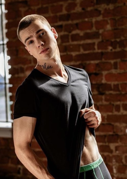 Mikoláš Josef photo