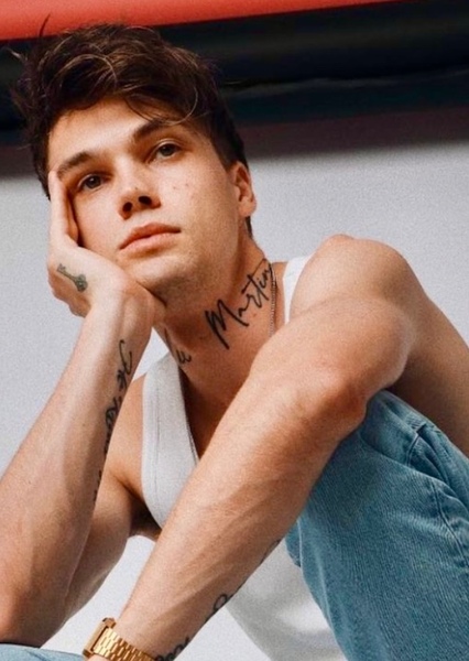Mikoláš Josef photo