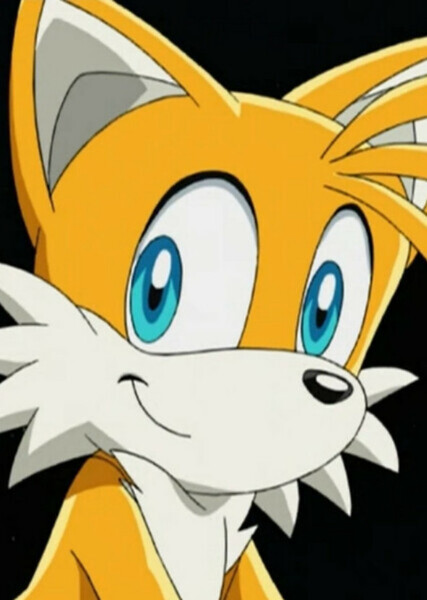 Miles "Tails" Prower photo