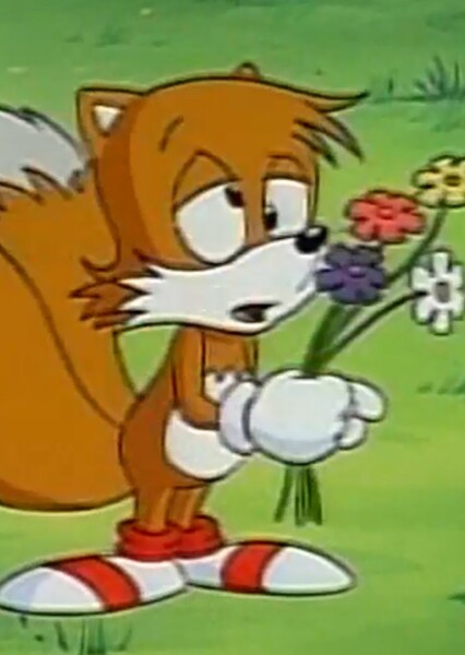 Miles "Tails" Prower (SatAM) photo