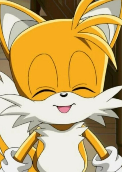 Miles "Tails" Prower (Sonic X) photo