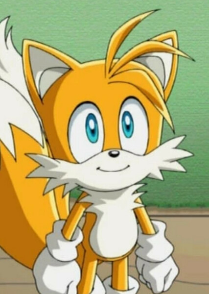 Miles "Tails" Prower (Sonic X) photo
