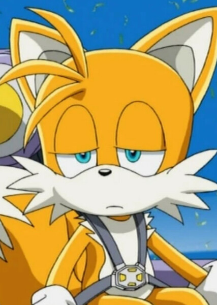 Miles "Tails" Prower (Sonic X) photo