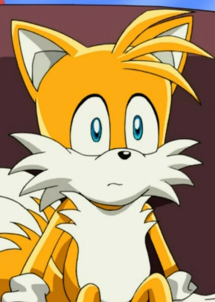 Miles "Tails" Prower (Sonic X) photo