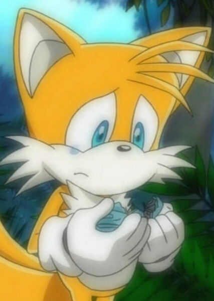 Miles "Tails" Prower (Sonic X) photo