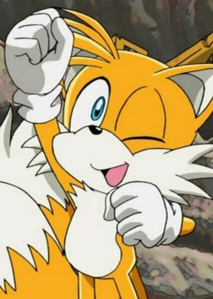 Miles "Tails" Prower (Sonic X) photo